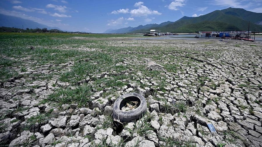 Representative image. Credit: AFP Photo
