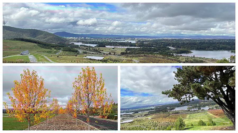 Canberra's stunning National Arboretum. Credit: Rupali Dean