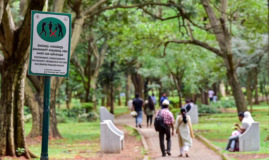 Representative image. Credit: DH Photo