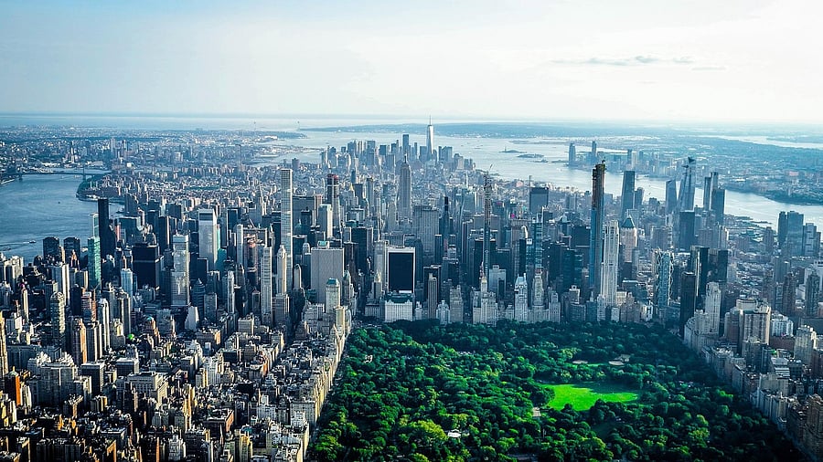 Representative image. Credit: Pixabay Photo