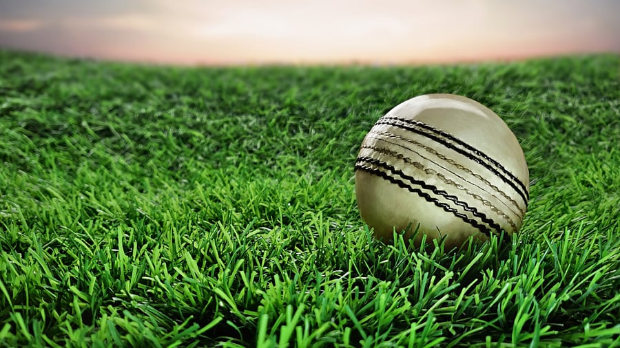 Representative image. Credit: iStock Photo