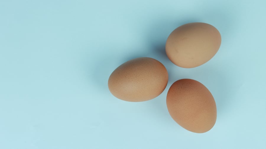 The researchers noted that birds produce a type of antibody called IgY, comparable to IgG in humans and other mammals. Representative image/Credit: Unsplash Photo