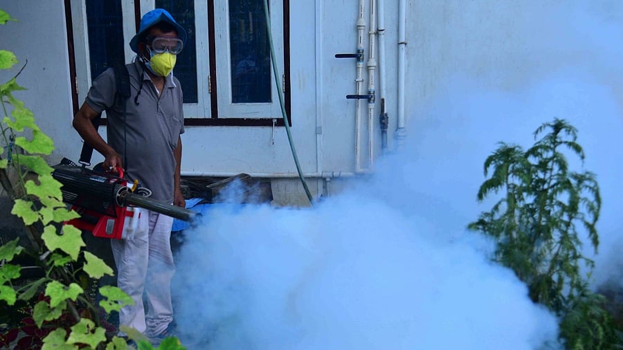 JE is an infection of the brain caused by the Japanese encephalitis virus. Credit: IANS Photo