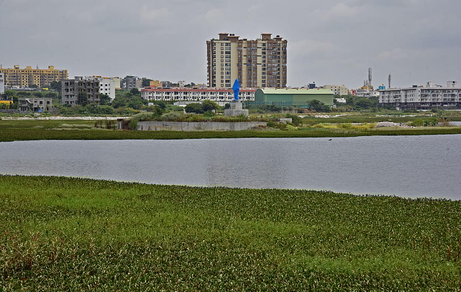 Representative Image. Credit: DH File Photo