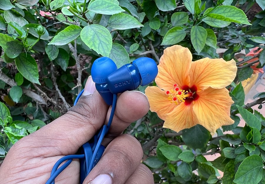 Sony WI-C100. Credit: DH Photo/KVN Rohit