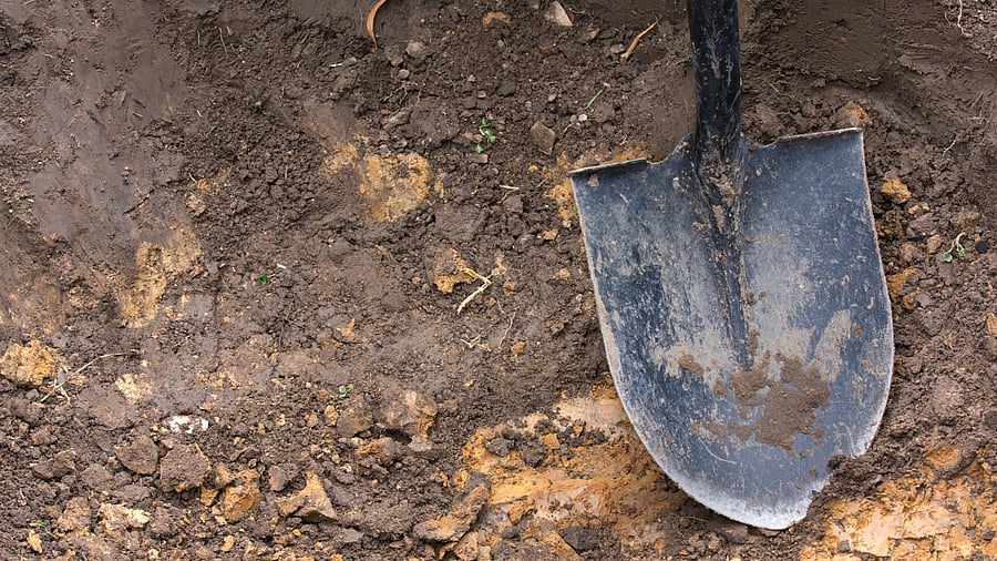 Representative image. Credit: iStock photo