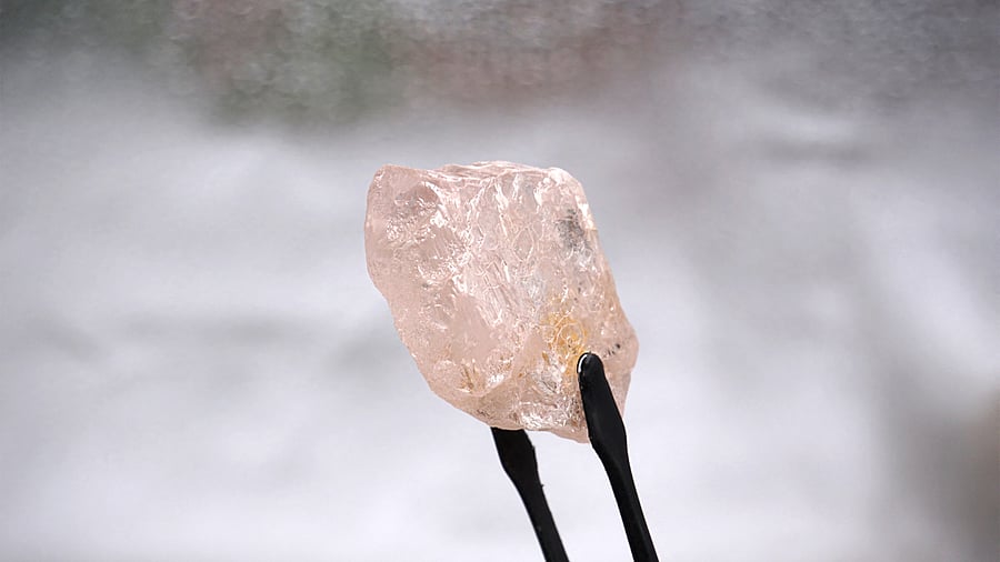This undated handout picture released by Lucapa Diamond Company Limited shows the 170 carat 'Lulo Rose' pink diamond. Credit: AFP Photo