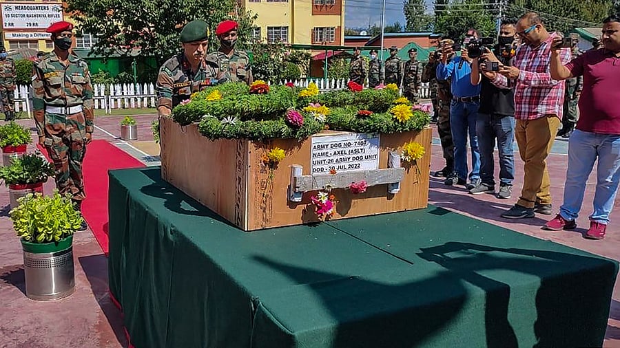 Security personnel pay tribute to the mortal remains of Axel, army's elite assault dog squad shot dead by a terrorist in Kashmir during a counter terrorism operation, in Baramulla district. Credit: PTI Photo