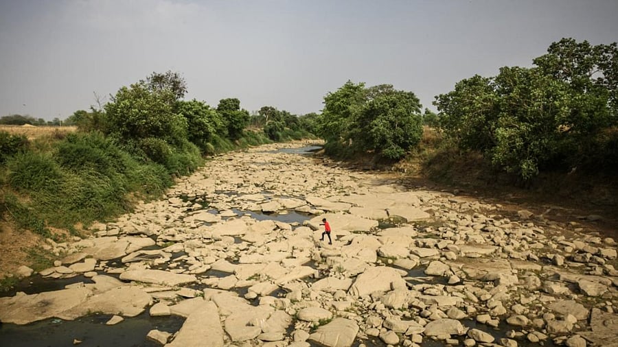 This year, it started when the northern part of India experienced heat waves in March and April resulting in a 7.5% fall in wheat production. Credit: Getty Images