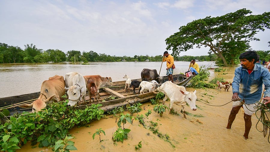 197 people have lost their lives in Assam due to floods and landslides. Credit: PTI Photo