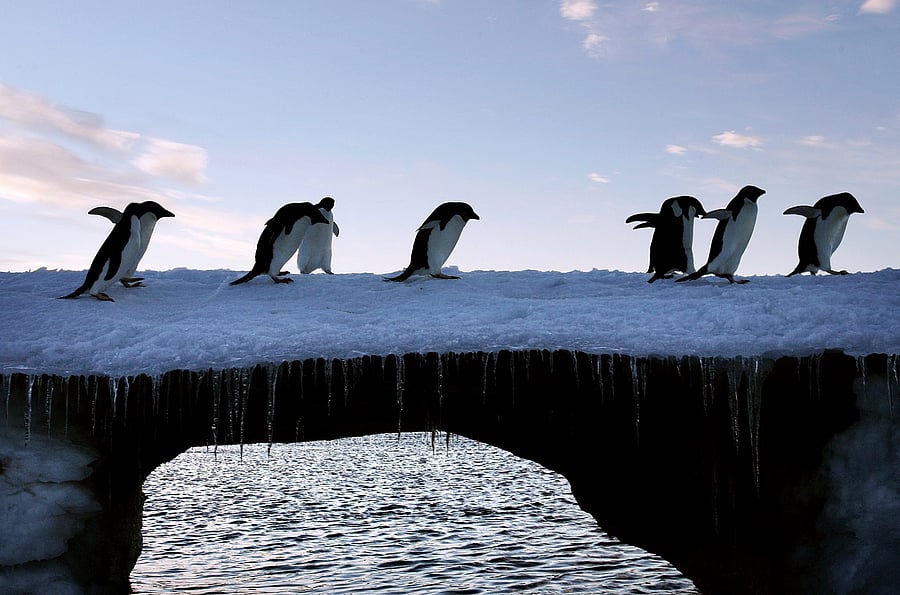 Representative image. Credit: Reuters Photo