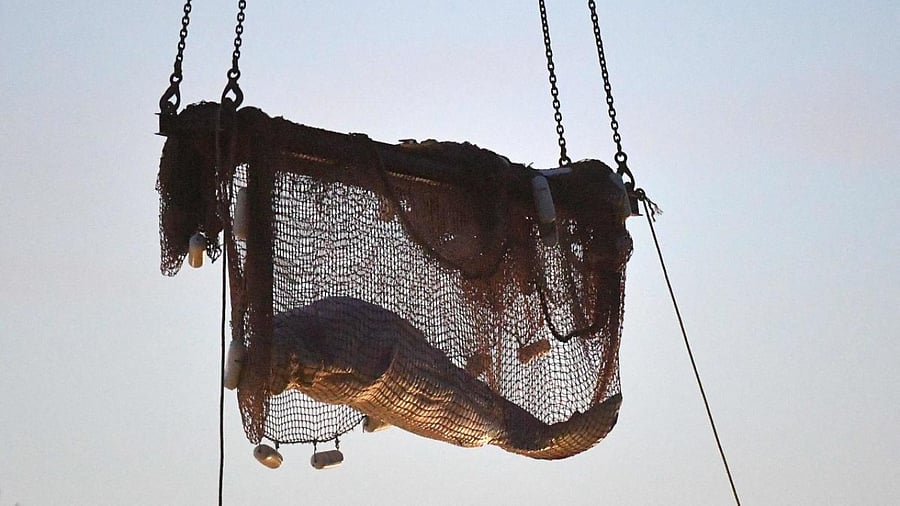 Rescuers pull up a net after they rescued a beluga whale stranded in the River Seine to bring it into a truck to drive it towards Ouistreham (Calvados), at Notre Dame de la-Garenne, northern France, on August 10, 2022. Credit: AFP Photo