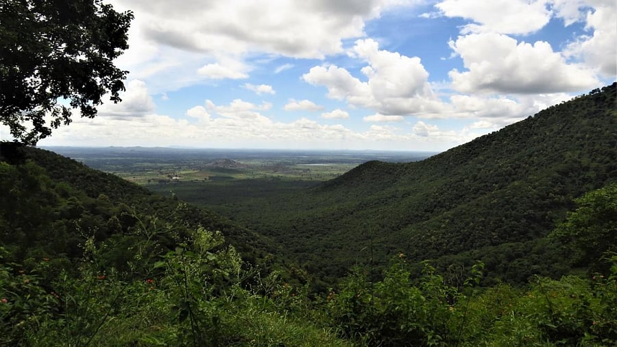 Representative Image. Credit: DH File Photo