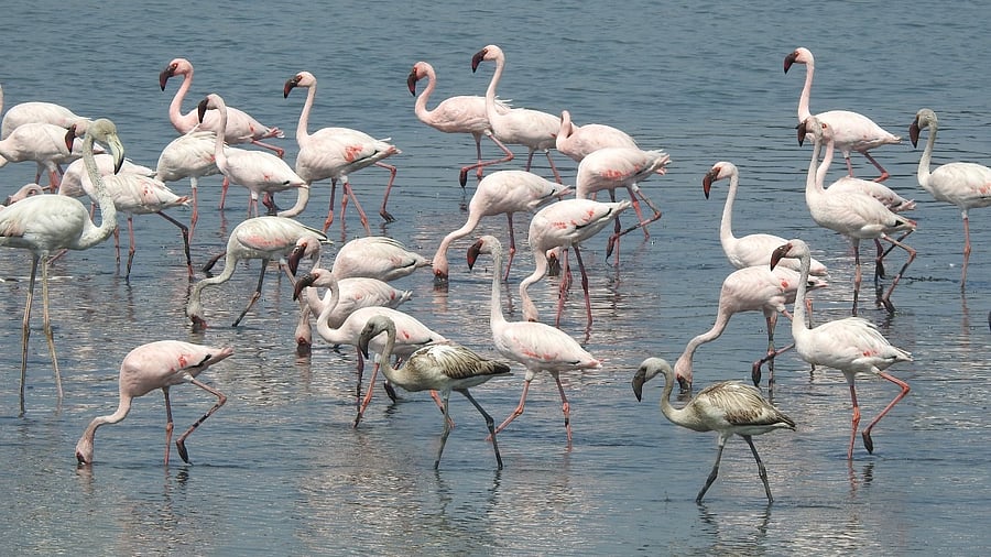 Representative image. Credit: Special arrangement