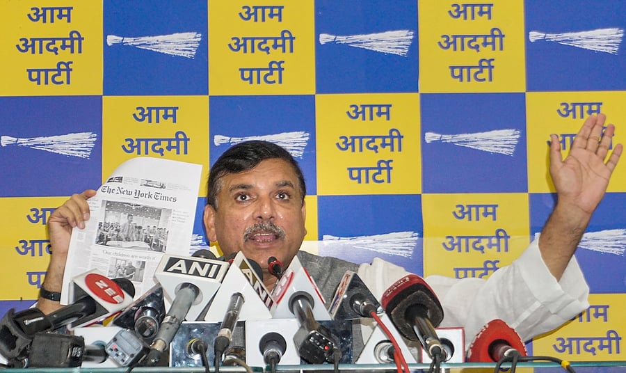 <div class="paragraphs"><p>AAP leader Sanjay Singh.</p></div>