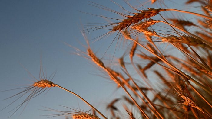 Representative image. Credit: AFP Photo