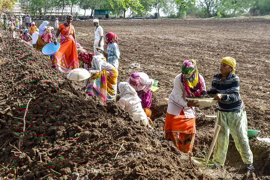 Credit: DH File Photo