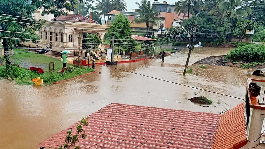 Representative Image. Credit: DH File Photo