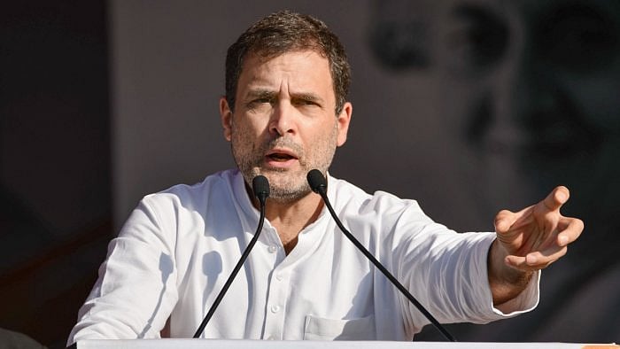 Congress leader Rahul Gandhi. Credit: PTI File Photo