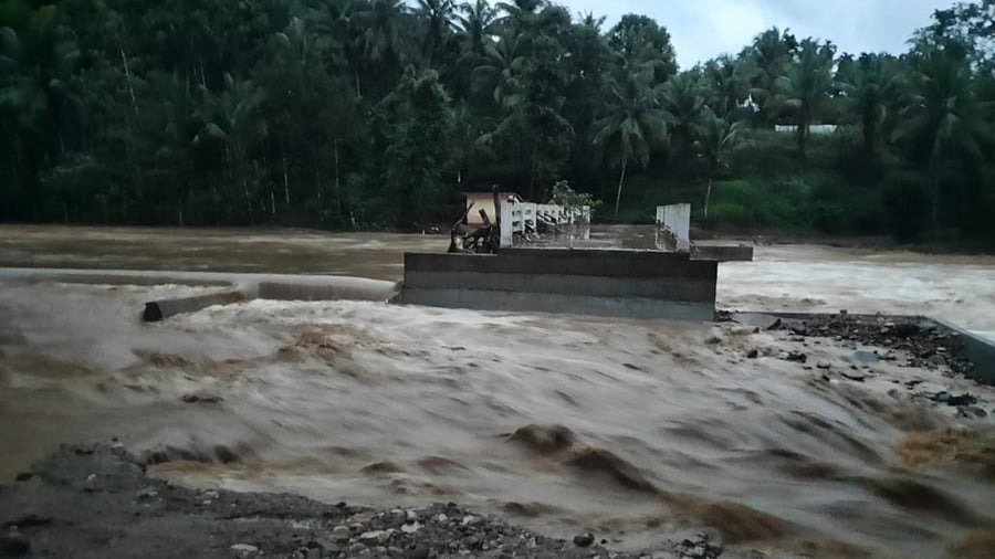 A view of the driftwoods struck at Koinadu. Credit: DH Photo