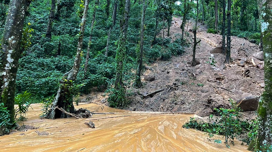 Representative image. Credit: PTI File Photo