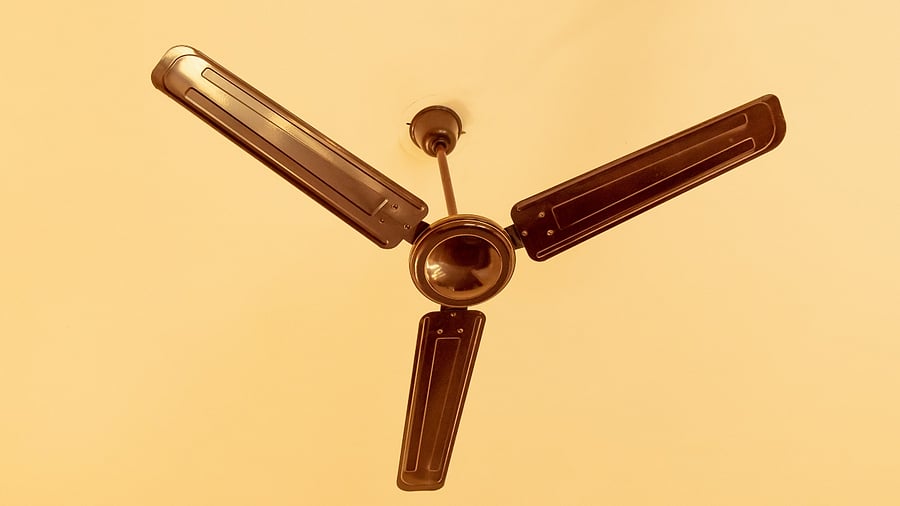 Representative image. Credit: iStock photo