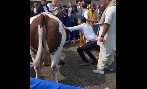 Credit: Video screengrab