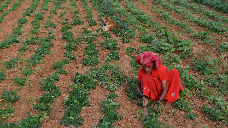 Representative Image. Credit :AFP File Photo