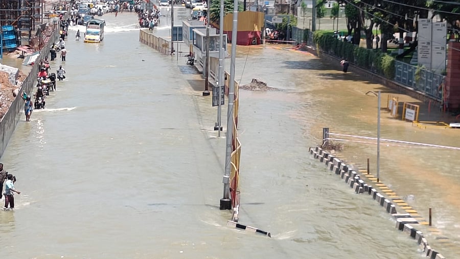 Credit: DH Photo/ SK Dinesh