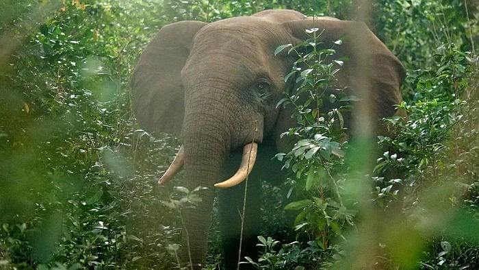 Representative image. Credit: Reuters photo