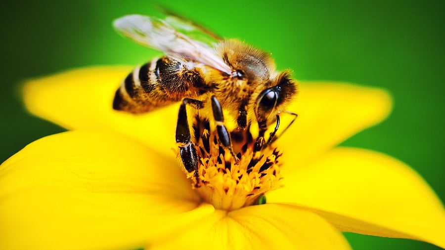 Representative image. Credit: iStock Images