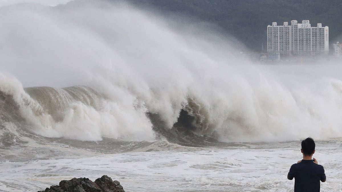 Thousands evacuate as Typhoon Hinnamnor hits South Korea