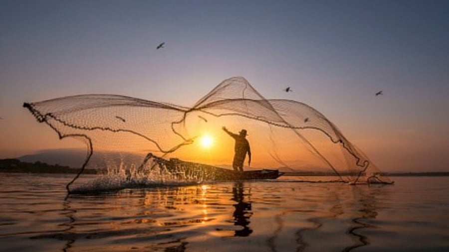 Representative Image. Credit: Getty Images
