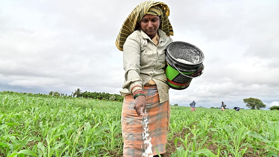 Representative Image. Credit: DH File Photo