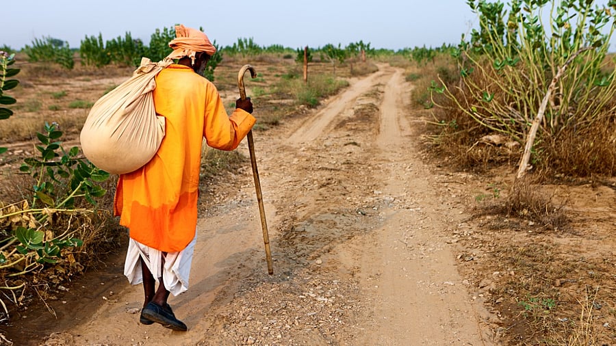 Representative image. Credit: iStock Photo