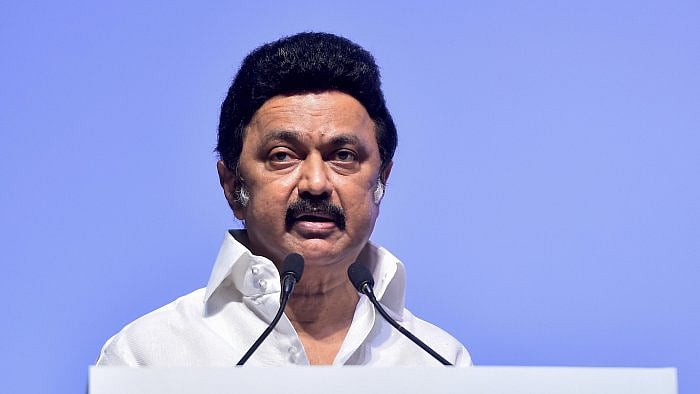 Tamil Nadu Chief Minister M K Stalin. Credit: PTI Photo