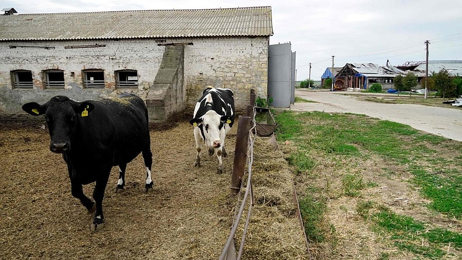 Representative image. Credit: AFP file photo