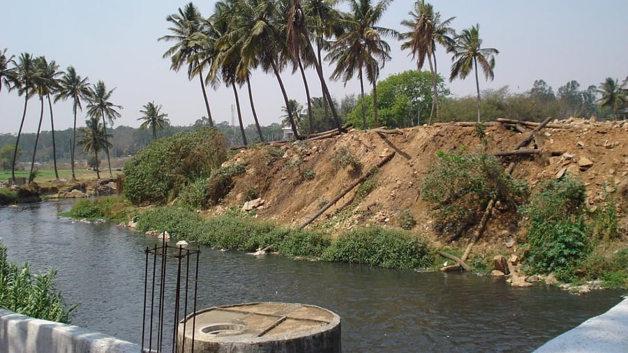 Vrishabhavathi Valley. Credit: DH Photo