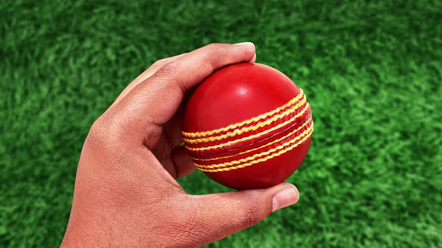 Representative image. Credit: iStock Photo