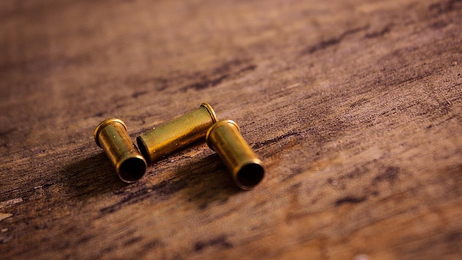 Representative image. Credit: Pixabay Photo