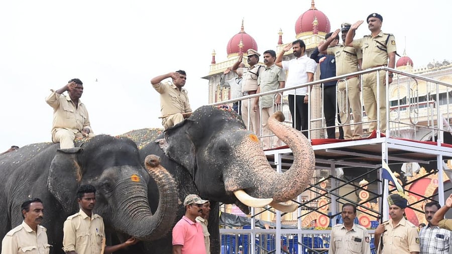 Credit: DH PhotoThe grand procession brings curtains down on the 10-day Mysuru Dasara festivities. Credit: DH Photo