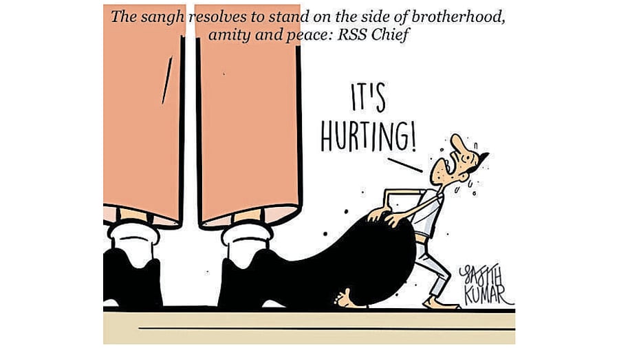 Credit: Sajith Kumar