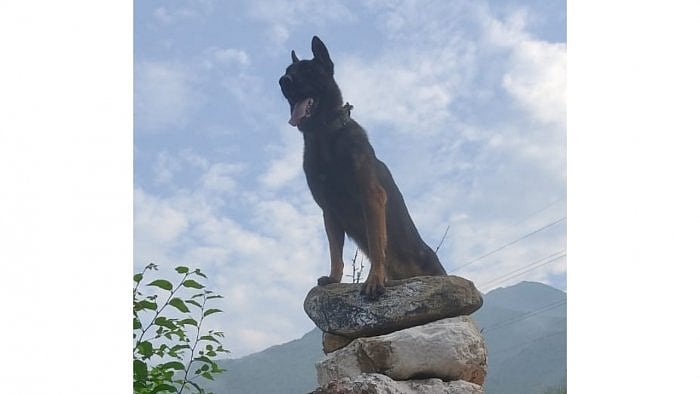 Zoom. Credit: Twitter/@ChinarcorpsIA