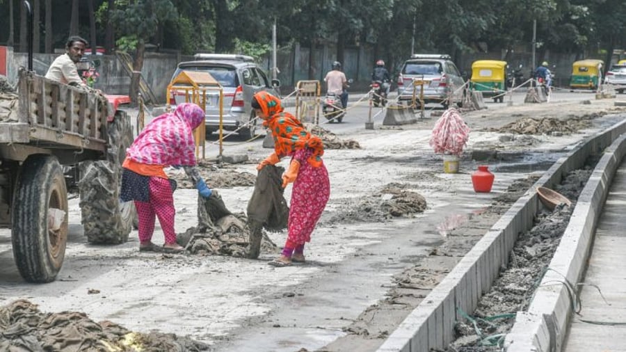 Representative image. Credit: DH Photo