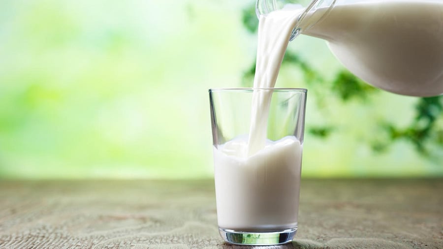 Mother Dairy is a leading milk supplier in the Delhi-NCR market and sells more than 30 lakh litres per day in poly packs and through vending machines. Credit: iStock Photo