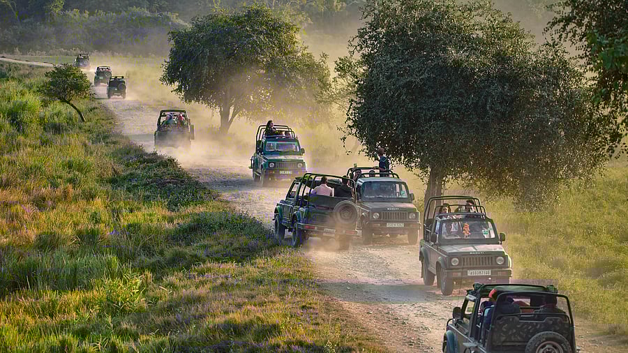 Representative image. Credit: PTI File Photo