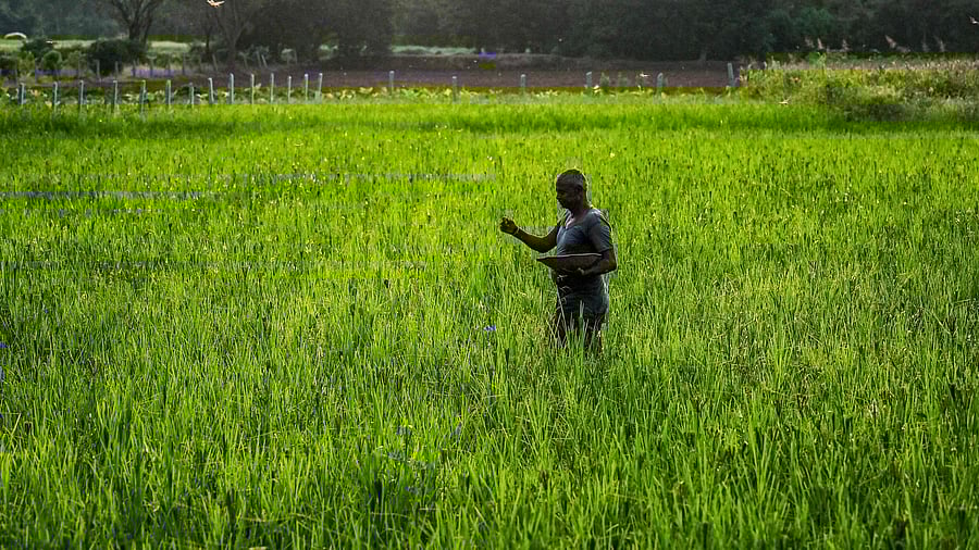 Representative Image. Credit: AFP Photo