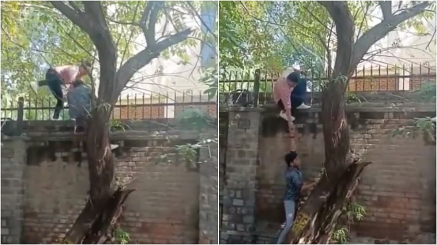 Screengrab of viral video. Credit: Twitter/@sobhana__