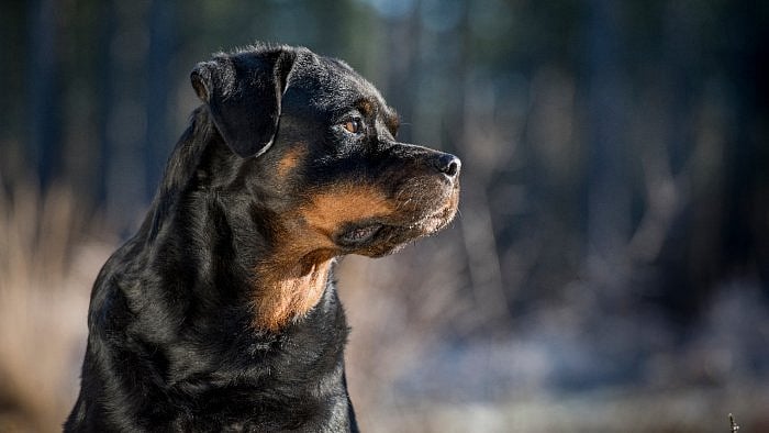 Representative image. Credit: iStock Photo