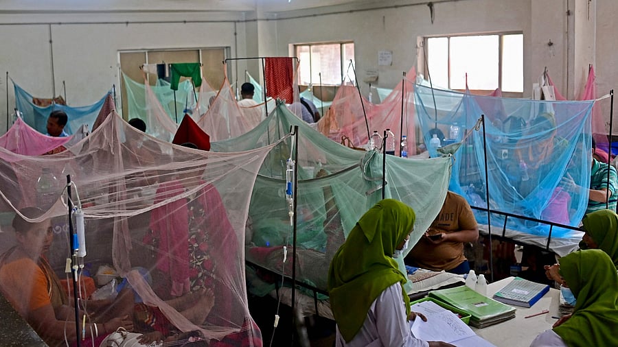 Representative image. Credit: AFP Photo